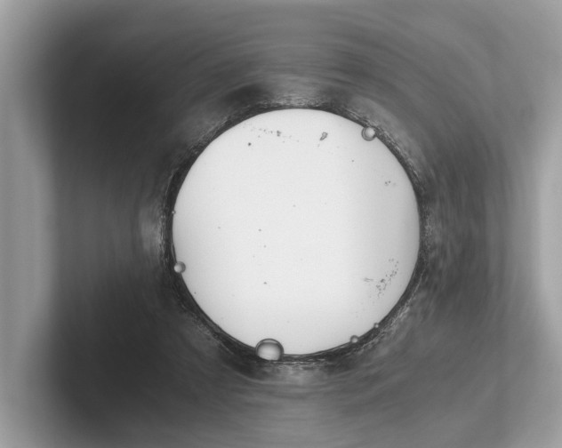 X0000101390305200807211018