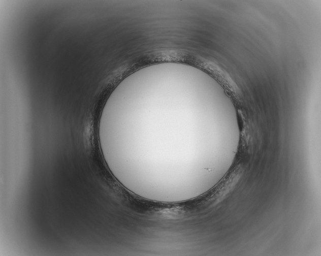 X0000101390306200807211018