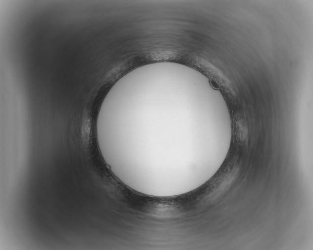 X0000101390308200807211018