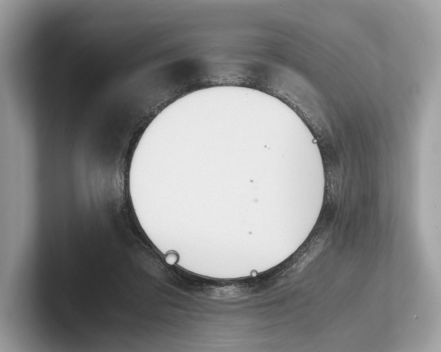 X0000101390309200807211018