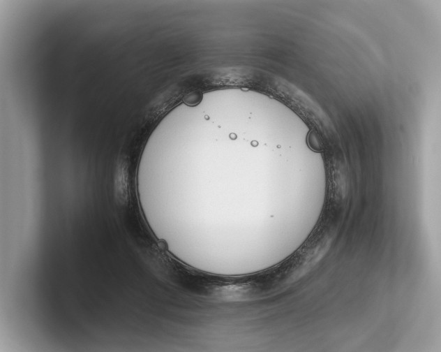 X0000101390312200807211018