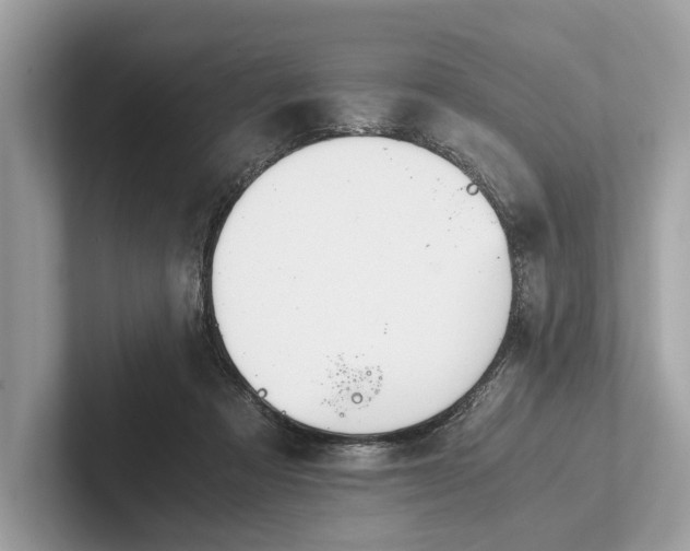 X0000101390313200807211018