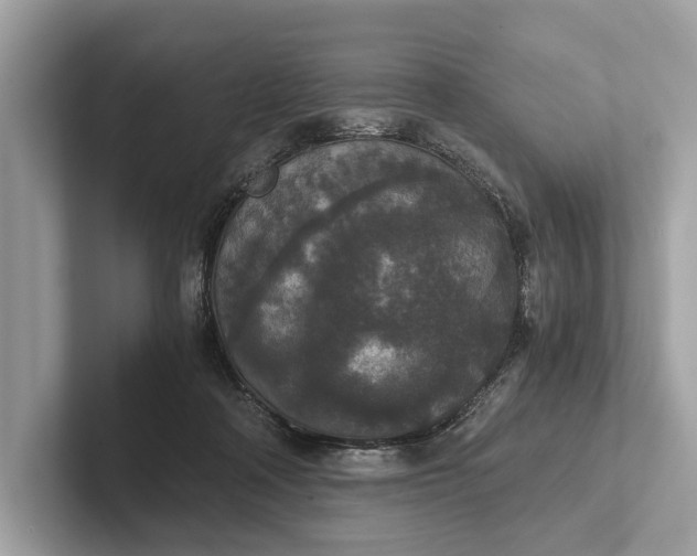 X0000101390314200807211018