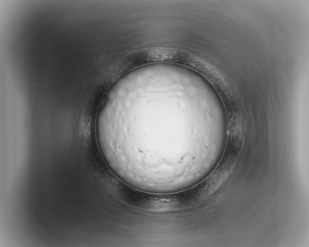 X0000101390315200807211018