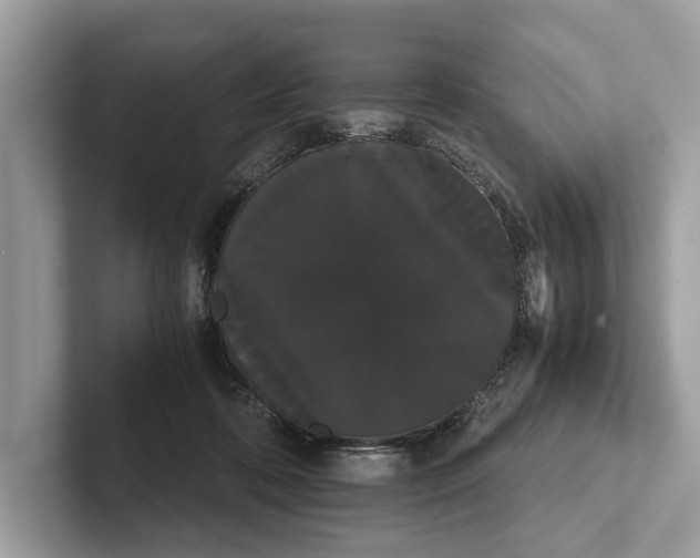 X0000101390316200807211018