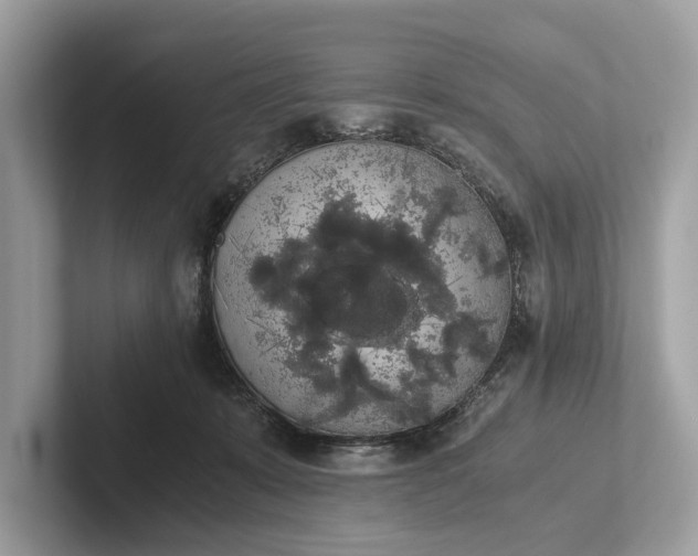 X0000101390319200807211018