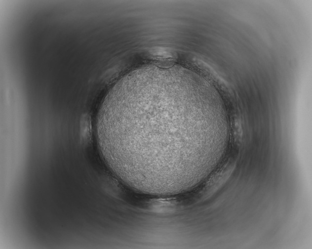 X0000101390320200807211018