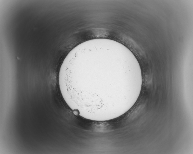 X0000101390321200807211018