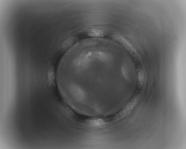 X0000101390322200807211018