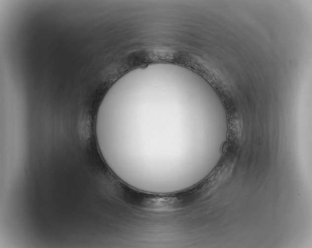 X0000101390323200807211018