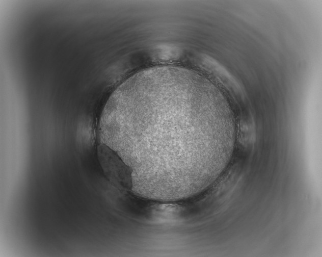 X0000101390324200807211018