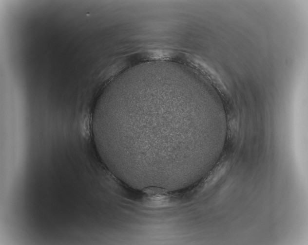 X0000101390325200807211018