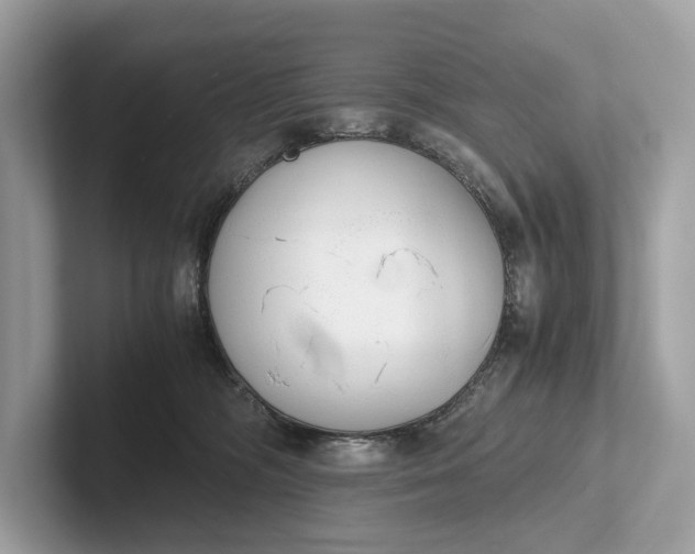 X0000101390326200807211018