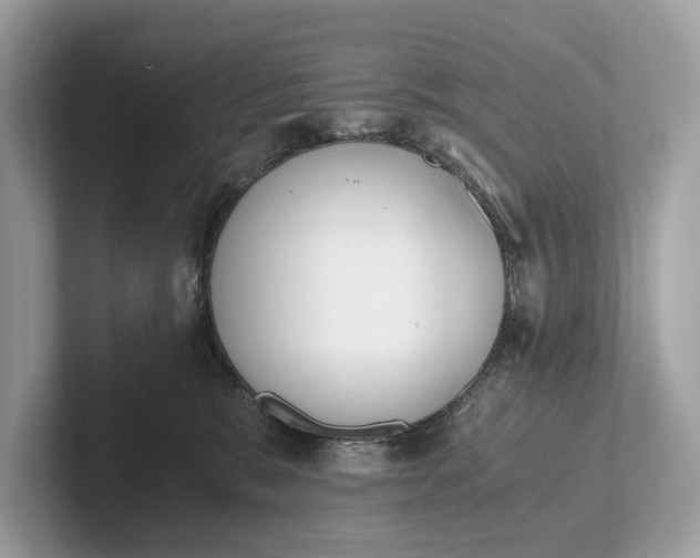 X0000101390327200807211018