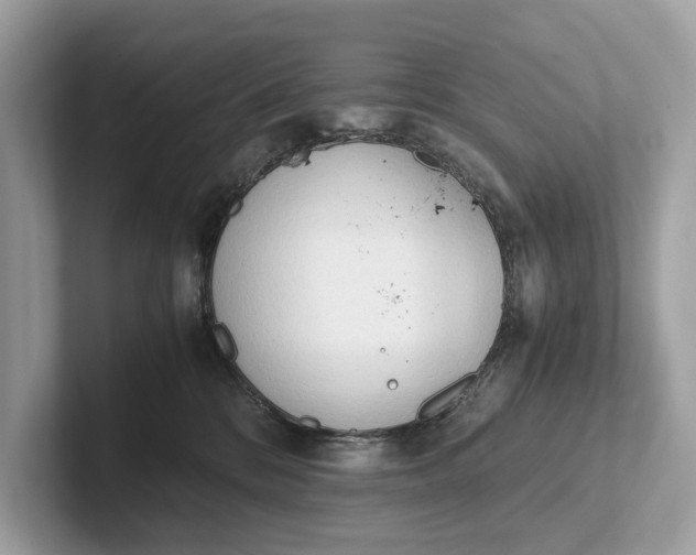 X0000101390328200807211018