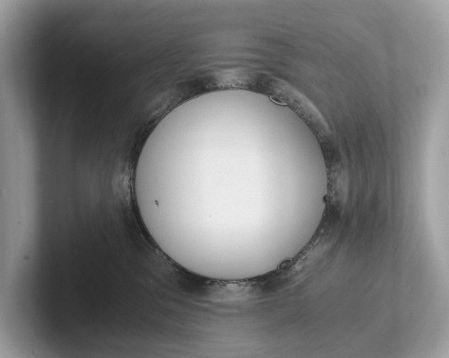 X0000101390329200807211018