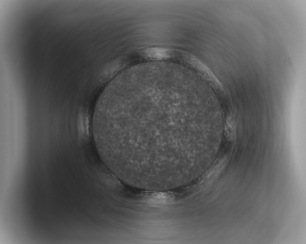 X0000101390330200807211018