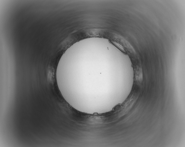 X0000101390332200807211018