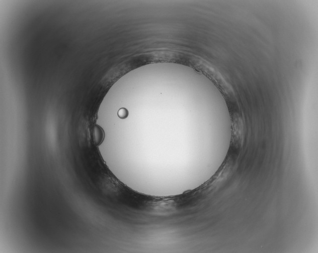 X0000101390333200807211018