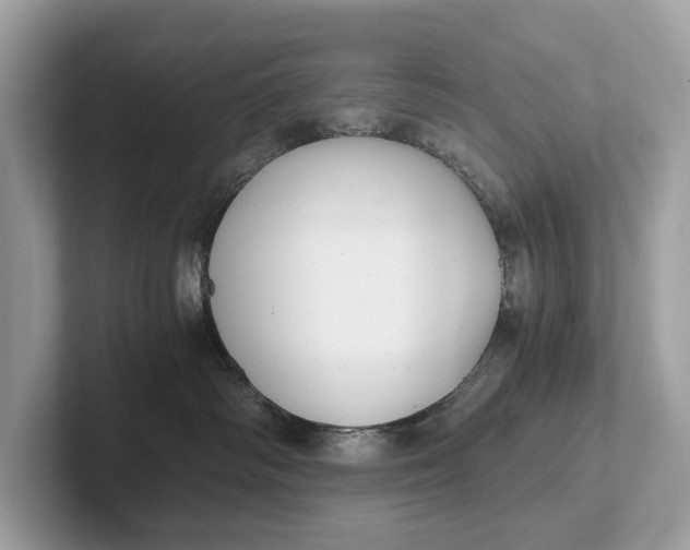 X0000101390334200807211018