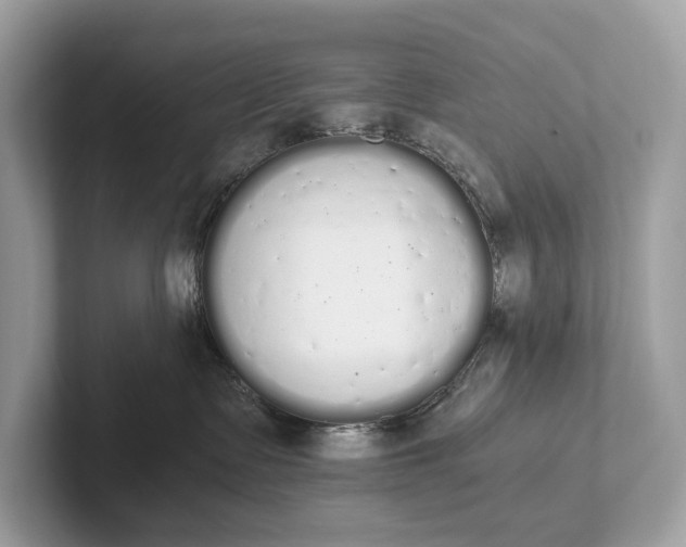 X0000101390335200807211018