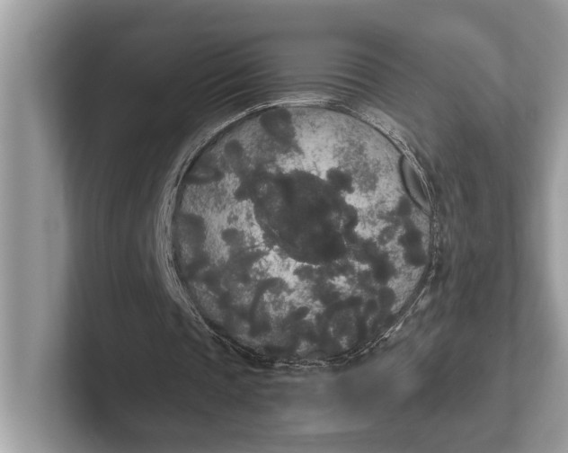 X0000101390337200807211017