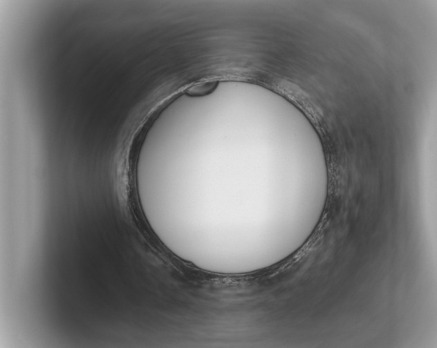 X0000101390338200807211017