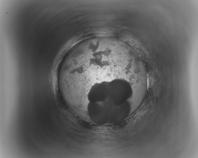 X0000101390339200807211017