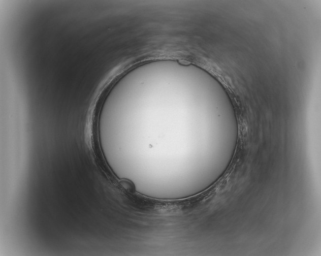 X0000101390340200807211017