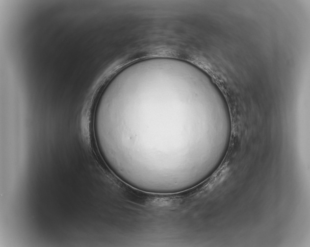 X0000101390341200807211017