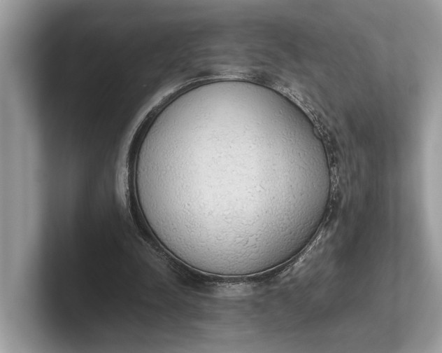 X0000101390342200807211017