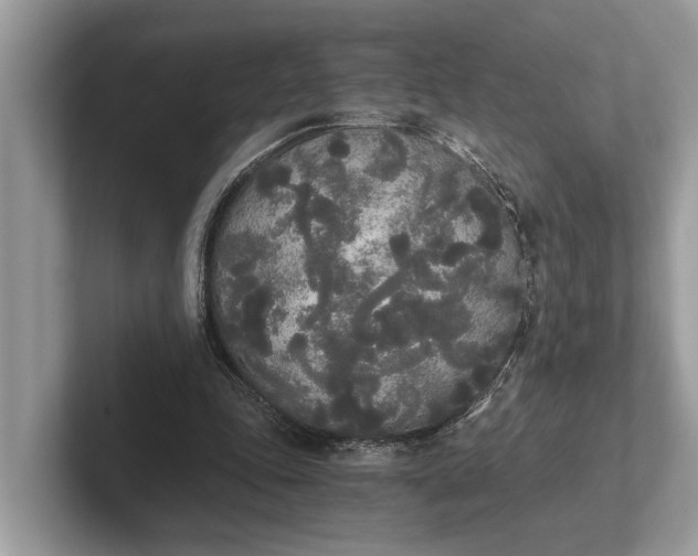 X0000101390343200807211017