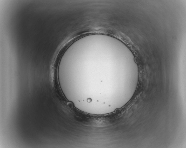 X0000101390344200807211017