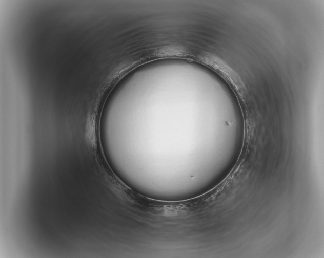 X0000101390345200807211017