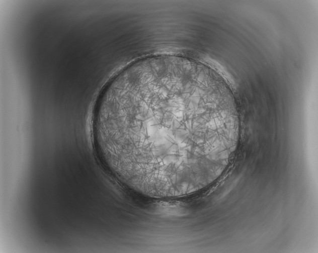 X0000101390346200807211017