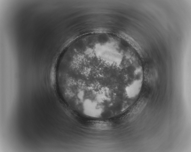 X0000101390347200807211017