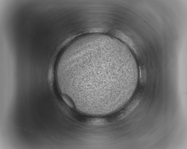 X0000101390348200807211017