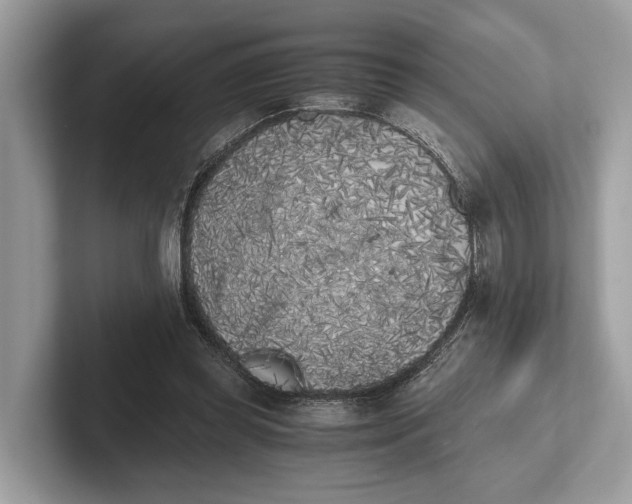 X0000101390349200807211017