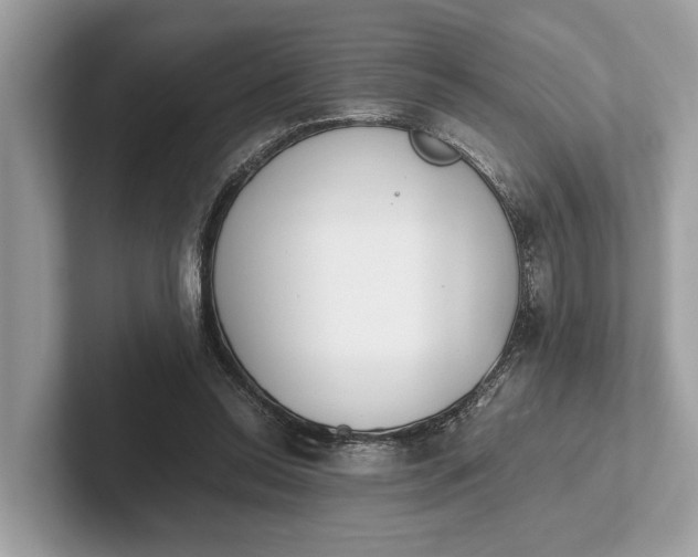 X0000101390350200807211017