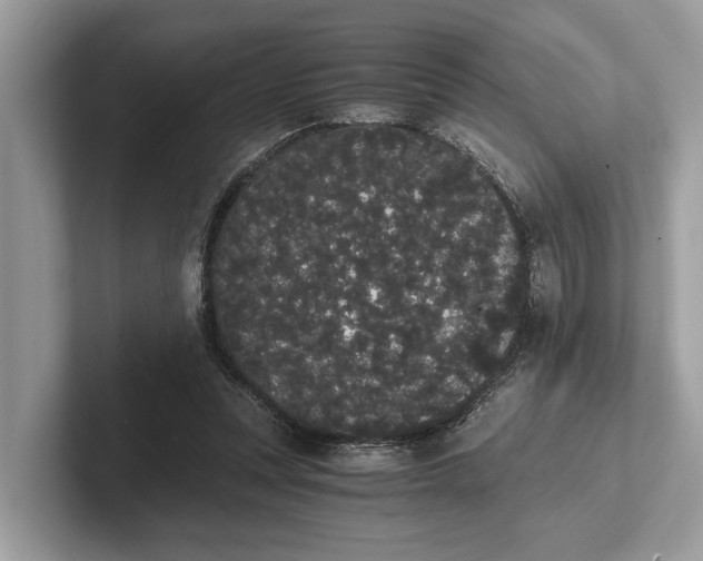 X0000101390351200807211017