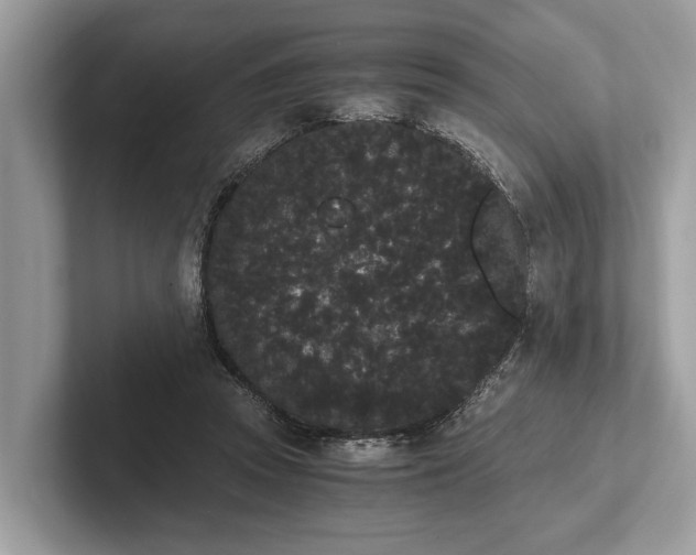 X0000101390353200807211017