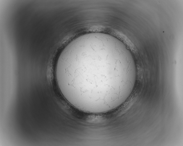 X0000101390354200807211017