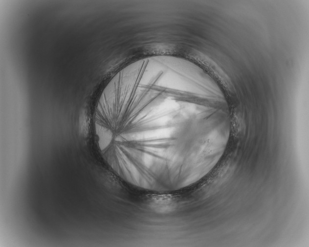 X0000101390355200807211017