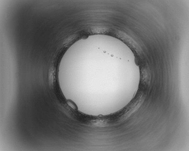 X0000101390356200807211017