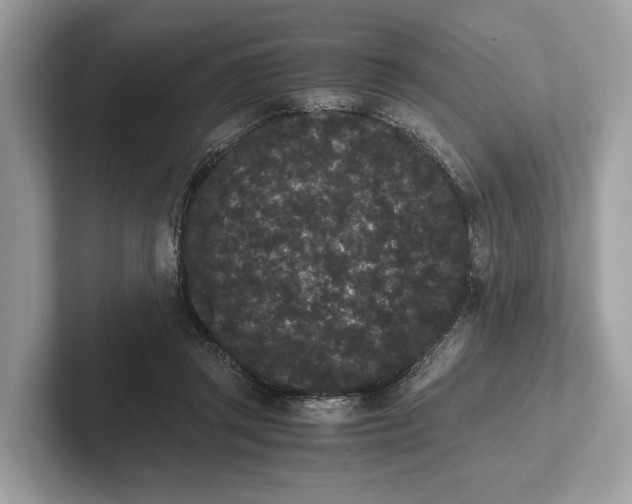 X0000101390357200807211018