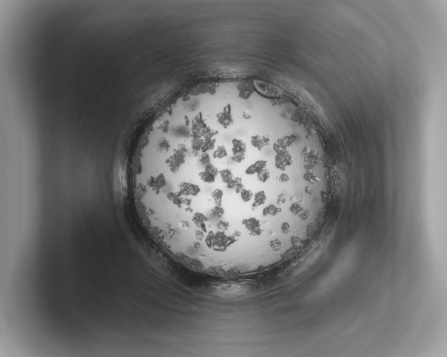 X0000101390358200807211018