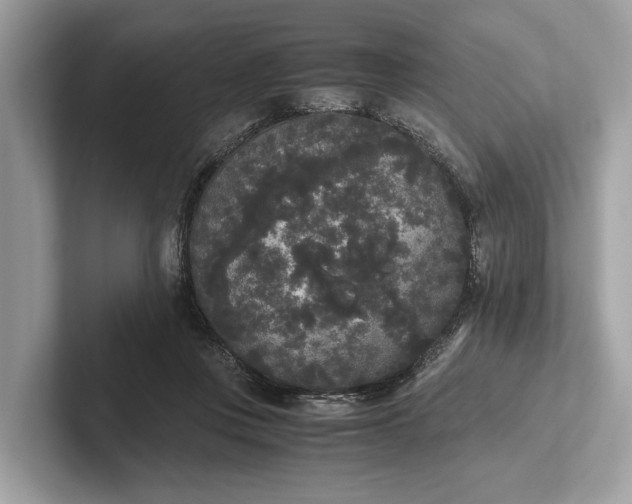 X0000101390359200807211018