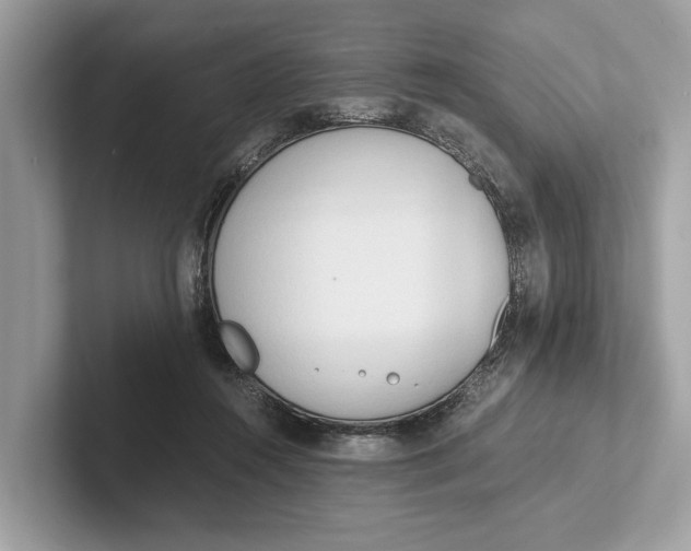 X0000101390360200807211018