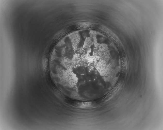 X0000101390361200807211018