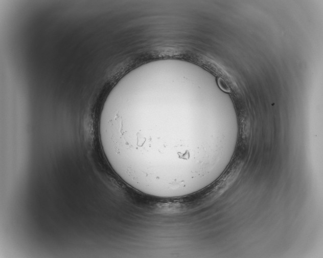 X0000101390362200807211018